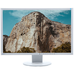 Monitor EIZO EV2416W 24" LED 1920x1200 DisplayPort Biały Klasa A/B