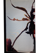 Komputer All-in-One Dell OptiPlex 3030 i3-4130 8GB 120GB SSD Klasa B/C