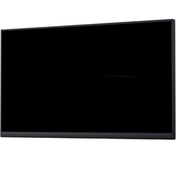 Monitor Dell P2422H 24" LED 1920x1080 IPS HDMI VGA Bez Podstawki Klasa C